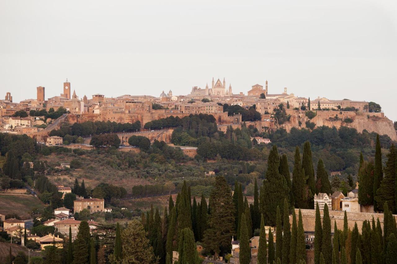 Domus Festina Lente Apartment Orvieto Exterior photo